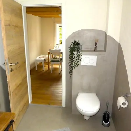 Alte Schreinerei דירה *