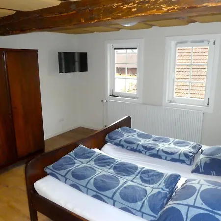 Alte Schreinerei Apartment Lutzelbach