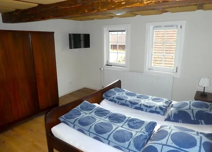 Alte Schreinerei Apartman Lutzelbach